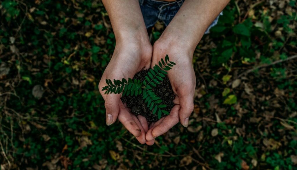 La Finanza Verde: Investire nella Sostenibilità Ambientale